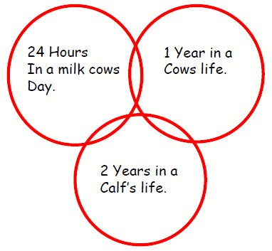 Achieving Excellence in Dairying - Image 1