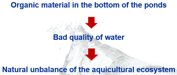 Effect of Incorporating “OXYDOL®” in White Shrimp Farming Ponds Litopenaeus vannamei over Production and Physical-Chemical Parameters - Image 2