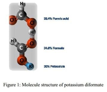 Dietary potassium diformate in sows during pre-farrowing till weaning: Effects on piglet performance in Thailand - Image 3