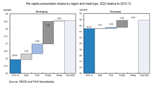 The future of poultry production: Meeting the challenges of food safety and food security with declining resources - Image 1