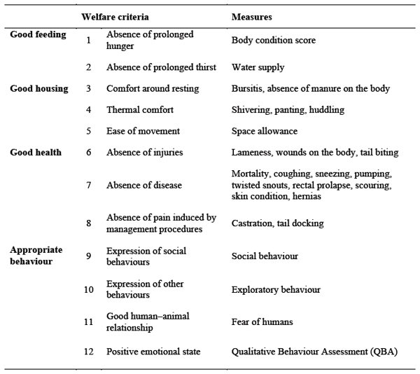 Assessing on farm pig welfare - Image 1