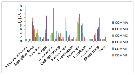 Survey of Mycotoxigenic Fungi in Concentrated Poultry Feed in Niger State, Nigeria - Image 5
