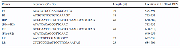 First survey of the occurrence of duck enteritis virus (DEV) in free-ranging Polish water birds - Image 1