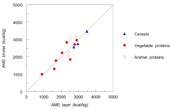 Feed Ingredients: Assessment and Enhancement of Nutritional Value - Image 2