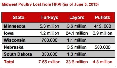 HPAI outbreaks: Slowing now, but new wave ahead - Image 1