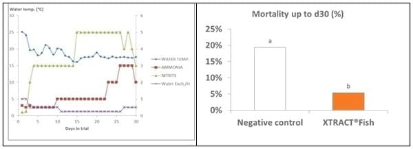 XTRACT® Fish improves performance and resistance to disease in Nile tilapia - Image 4