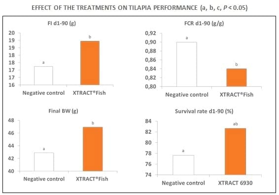 XTRACT® Fish improves performance and resistance to disease in Nile tilapia - Image 3