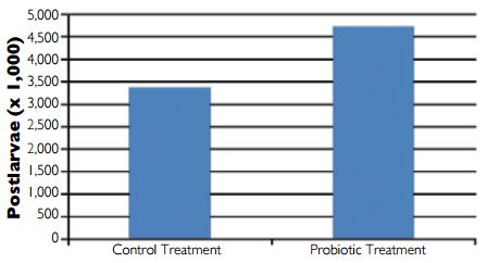 Bacillus Probiotics Improve Hatchery, Nursery Production In EMS-Hit Mexico - Image 2