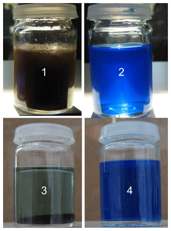 Positive impact of organic trace elements in ruminants - Image 8