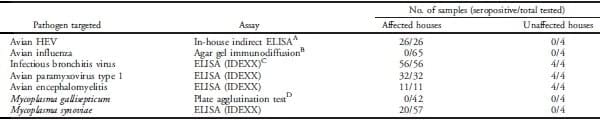 Avian Hepatitis E Virus Infection in Organic Layers - Image 4