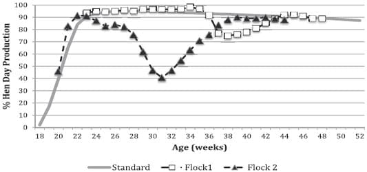 Avian Hepatitis E Virus Infection in Organic Layers - Image 1