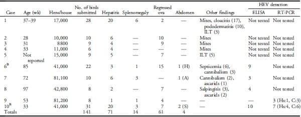 Avian Hepatitis E Virus Infection in Organic Layers - Image 2