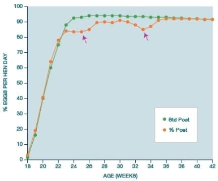 Avian Mycoplasma Control - Central for antibiotic independent production - Image 15