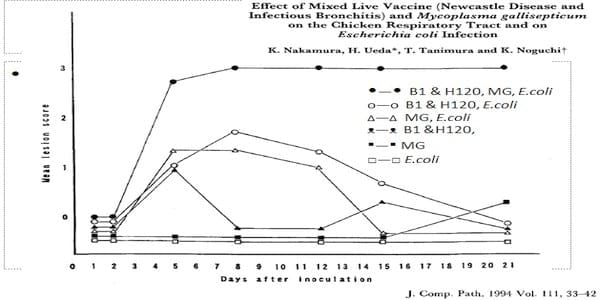 Avian Mycoplasma Control - Central for antibiotic independent production - Image 2