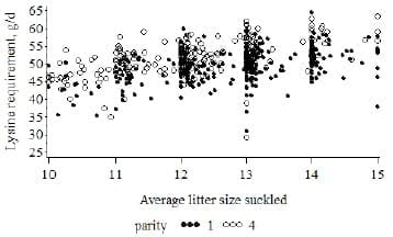 Amino Acid Nutritions of the Prolific Sow - Image 5