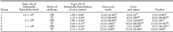 Evaluation of the respiratory route as a viable portal of entry for Salmonella in poultry - Image 3