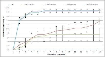 Probiotics reduce mortality and pathology in a standardised AHPND challenge model - Image 1