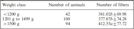 Differences in muscle characteristics of piglets related to the sow parity - Image 5