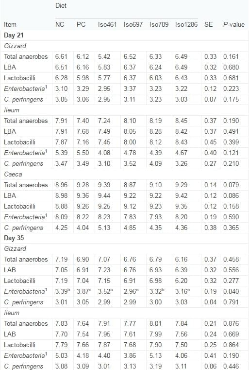 Novel probiotics: Their effects on growth performance, gut development, microbial community and activity of broiler chickens - Image 6
