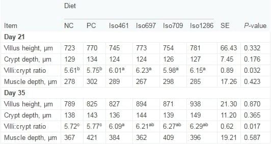 Novel probiotics: Their effects on growth performance, gut development, microbial community and activity of broiler chickens - Image 7
