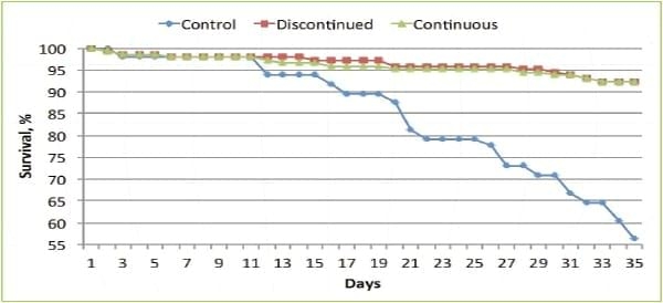 Spray-dried plasma assessed for antibiotic-free chicks - Image 3