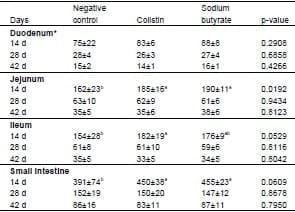 Effect of Partially Protected Sodium Butyrate on Performance, Digestive Organs, Intestinal Villi and E. coli Development in Broilers Chickens - Image 4