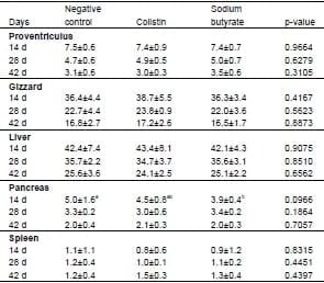Effect of Partially Protected Sodium Butyrate on Performance, Digestive Organs, Intestinal Villi and E. coli Development in Broilers Chickens - Image 3