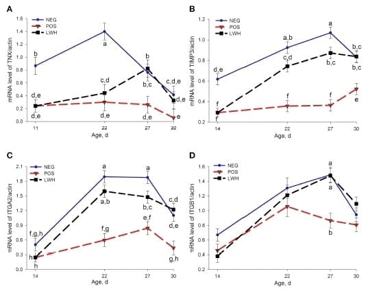 Identification of Biomarkers for Footpad Dermatitis Development and Wound Healing - Image 7