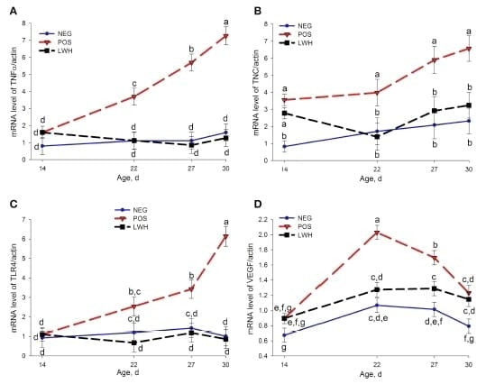 Identification of Biomarkers for Footpad Dermatitis Development and Wound Healing - Image 8