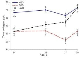 Identification of Biomarkers for Footpad Dermatitis Development and Wound Healing - Image 5