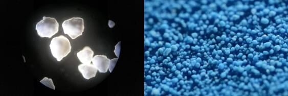 Optimize sow performance through efficient mineral supplementation - Image 5
