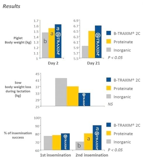 Optimize sow performance through efficient mineral supplementation - Image 10