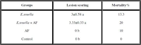 Impact of interaction between aflatoxicosis and cecal coccidiosis on broiler chickens - Image 3