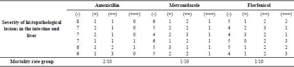 Clinical and laboratory studies on chicken Isolates of Clostridium Perfringens in El-Behera, Egypt - Image 8