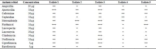 Clinical and laboratory studies on chicken Isolates of Clostridium Perfringens in El-Behera, Egypt - Image 3