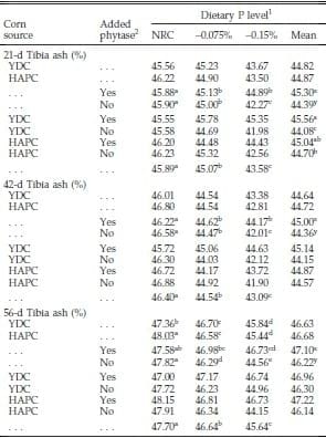 Evaluation of Normal Yellow Dent Corn and High Available Phosphorus Corn in Combination with Reduced Dietary Phosphorus and Phytase Supplementation for Broilers Grown to Market Weights in Litter Pens - Image 8