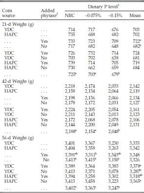 Evaluation of Normal Yellow Dent Corn and High Available Phosphorus Corn in Combination with Reduced Dietary Phosphorus and Phytase Supplementation for Broilers Grown to Market Weights in Litter Pens - Image 5