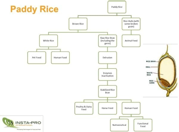 Stabilizing Rice Bran through High Shear Extrusion | Engormix