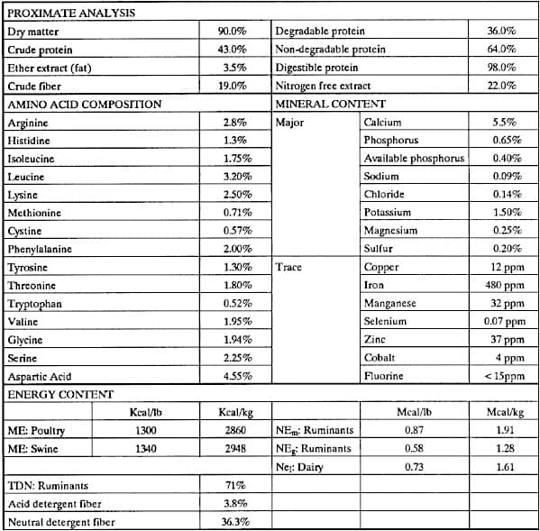 Extrusion of Alternative Ingredients: An Environmental and a Nutritional Solution - Image 1