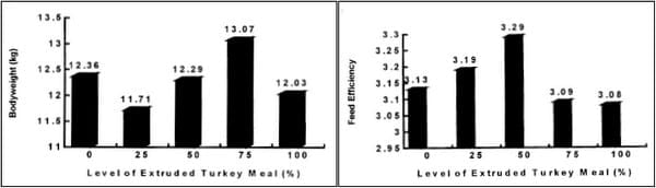 Extrusion of Alternative Ingredients: An Environmental and a Nutritional Solution - Image 11