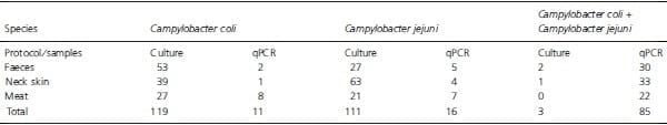 Evaluation of four protocols for the detection and isolation of thermophilic Campylobacter from different matrices - Image 7