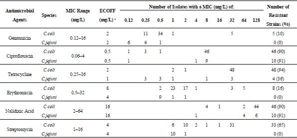 Method Comparison for Enhanced Recovery, Isolation and Qualitative Detection of C. jejuni and C. coli from Wastewater Effluent Samples - Image 3