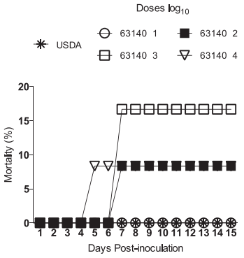 Infection of Broilers with Two Virulent Strains of Infectious Laryngotracheitis Virus: Criteria for Evaluation of Experimental Infections - Image 1