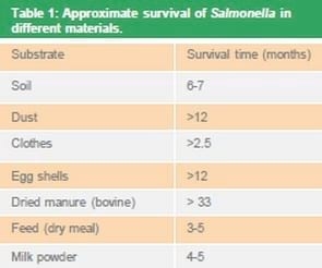 Salmonella reduction in pork production - Image 1