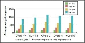 IBV Variants in the Middle East - Image 3