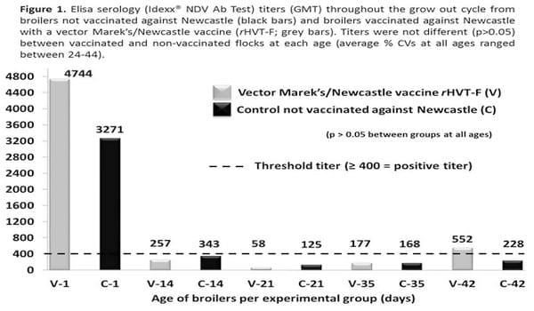 Safety and efficacy of a vector Marek’s/Newcastle vaccine (rHVT-F) applied to broilers reared in non-vaccinating and velogenic Newcastle Disease virus (NDV)-free poultry production systems - Image 1
