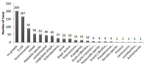Improving Mastitis Treatments by Targeted Antimicrobial Therapy - Image 1
