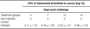 A role for the non-canonical Wnt-ß-Catenin and TGF-ß signaling pathways in the induction of tolerance during the establishment of a Salmonella enterica serovar Enteritidis persistent cecal infection in chickens - Image 3