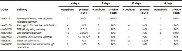 A role for the non-canonical Wnt-ß-Catenin and TGF-ß signaling pathways in the induction of tolerance during the establishment of a Salmonella enterica serovar Enteritidis persistent cecal infection in chickens - Image 5