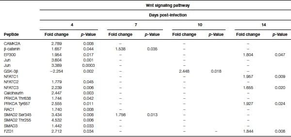 A role for the non-canonical Wnt-ß-Catenin and TGF-ß signaling pathways in the induction of tolerance during the establishment of a Salmonella enterica serovar Enteritidis persistent cecal infection in chickens - Image 6
